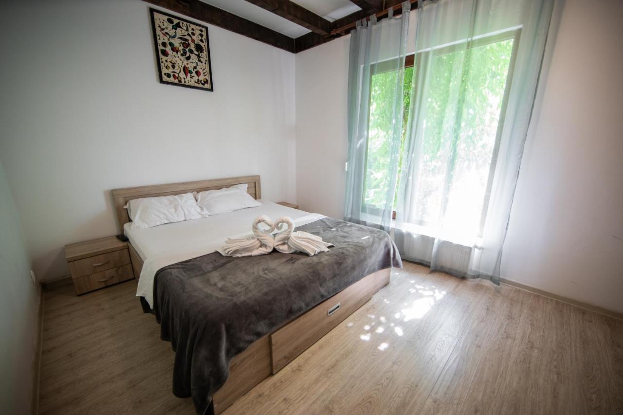 Casa Arcadia 1 Piscina,Jacuzzi, Sauna Buzău Esterno foto
