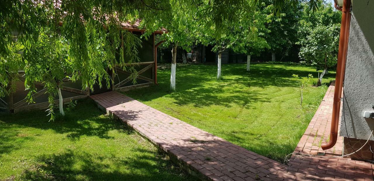 Casa Arcadia 1 Piscina,Jacuzzi, Sauna Buzău Esterno foto